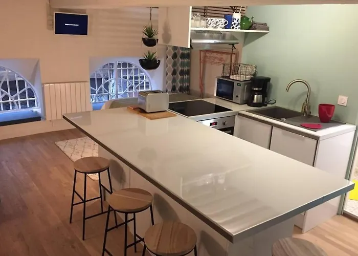 Elegant Loft - 4 People - Place Sathonay
