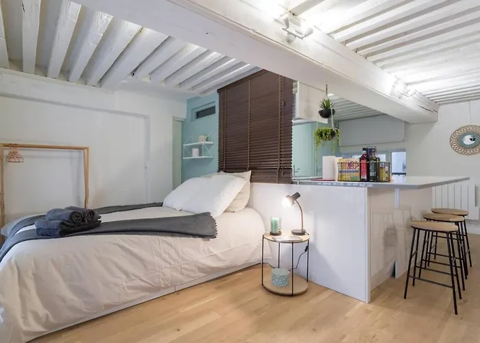 Elegant Loft - 4 People - Place Sathonay
