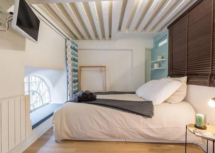 Elegant Loft - 4 People - Place Sathonay